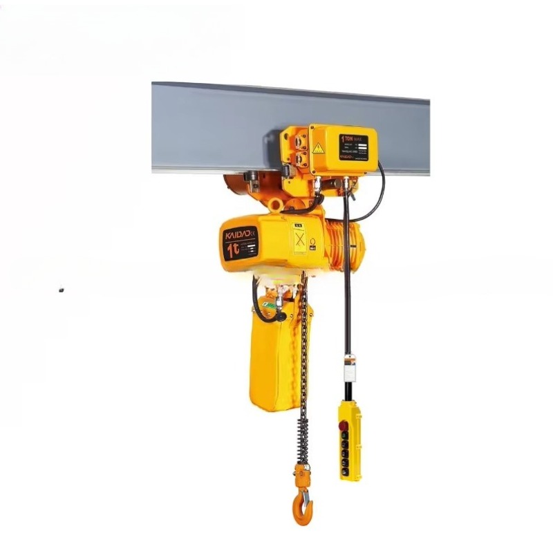 Dual Speed Electric Chain Hois - Heavy Equipment Electrical ulasan dan harga