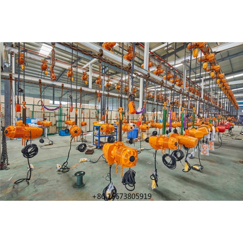 Wholesale Chinese Manufacture  - Electric Chain Hoist ulasan dan harga